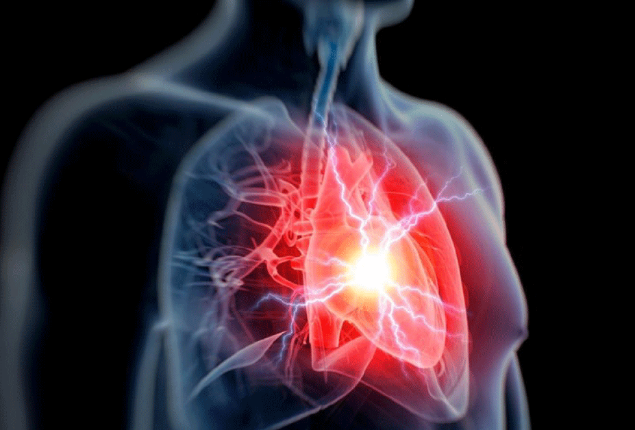 How Healthy Is Your Heart?